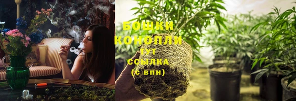 дмт Семёнов