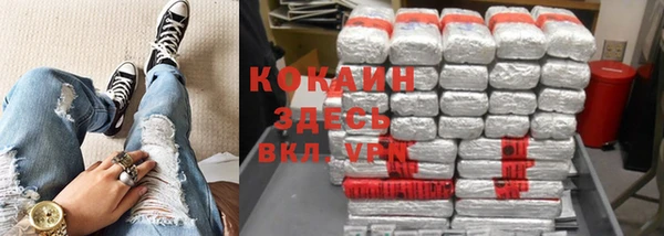 хмурый Семилуки