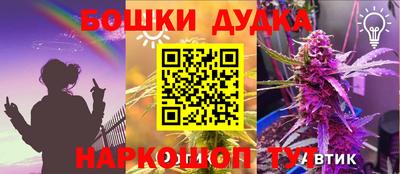 шишки Беслан