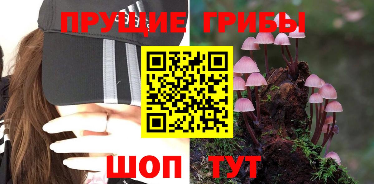 Галлюциногенные грибы прущие грибы Бугульма