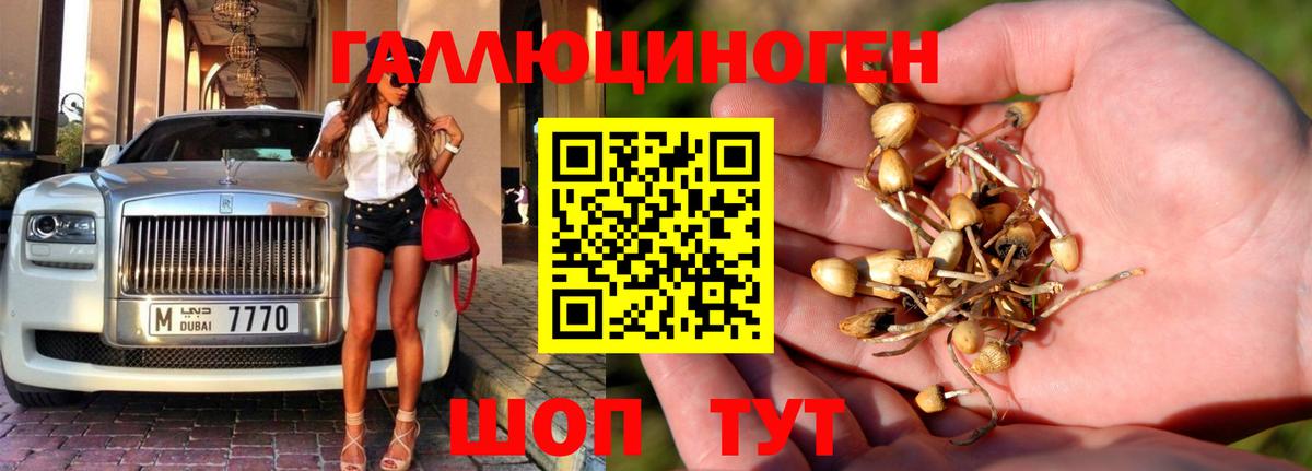 Псилоцибиновые грибы мицелий  продажа наркотиков  Бугульма  Галлюциногенные грибы мицелий 