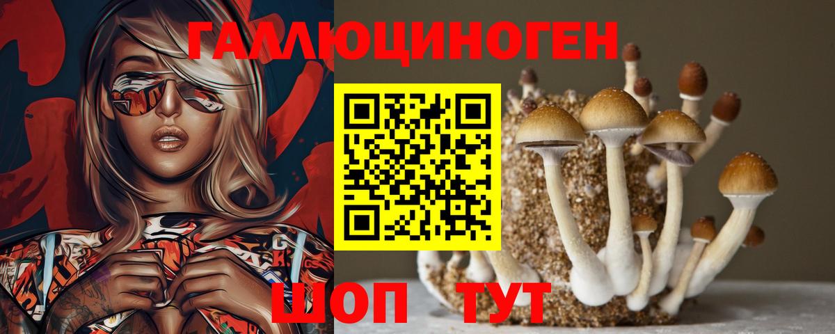 Галлюциногенные грибы MAGIC MUSHROOMS  Вход с VPN  Галлюциногенные грибы Cubensis  Бугульма 